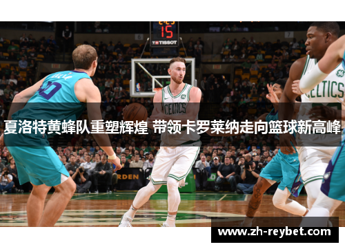 夏洛特黄蜂队重塑辉煌 带领卡罗莱纳走向篮球新高峰